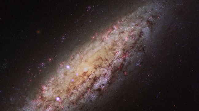 This NASA/ESA Hubble Space Telescope image shows galaxy NGC 6503. The galaxy, which lies about 18 million light-years away is at the edge of a strangely empty patch of space called the Local Void. This new image shows a very rich set of colors, adding to the detail seen in previous images. (Photo: NASA)