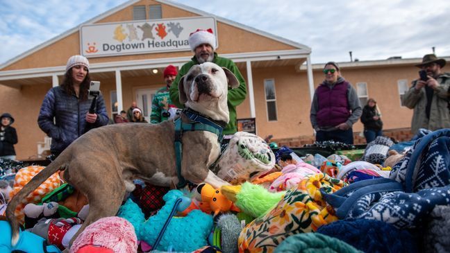 Adoptable dogs at Best Friends Animal Society in Kanab enjoyed an annual tradition of choosing their own toys for Christmas. (Photo: Best Friends Animal Society)