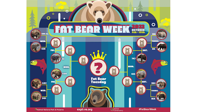 The bears are pitted against each other in this tournament-style bracket for your vote. (National Park Service)