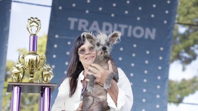 7-year-old Chinese Crested dog named Scooter wins "World's Ugliest Dog" contest (Photo: World's Ugliest Dog){&nbsp;}