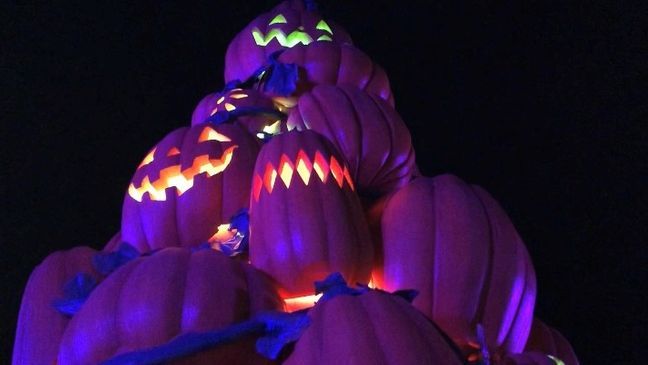 Thousands of jack-o-lanterns create fun displays like the massive glowing guitar, the pumpkin tree, sunflowers, and the frogs at Drop Line Pond for Pumpkin LumiNights. (FOX 17 News photo){p}{/p}