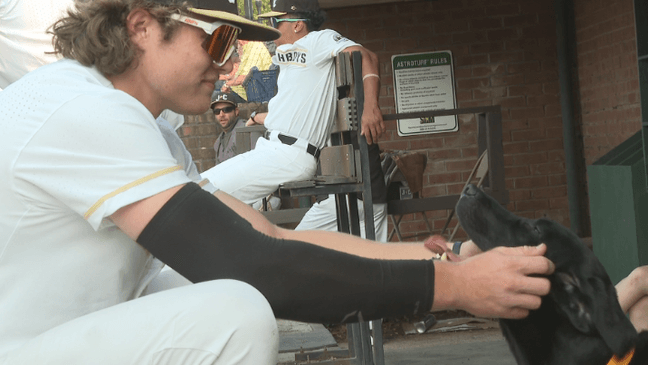 A Johnson City Doughboy's player petting Rocky (WCYB Photo)