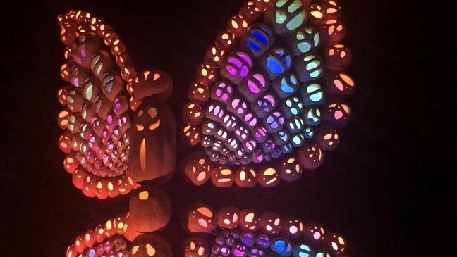 Thousands of jack-o-lanterns create fun displays like the massive glowing guitar, the pumpkin tree, sunflowers, and the frogs at Drop Line Pond for Pumpkin LumiNights. (FOX 17 News photo){p}{/p}