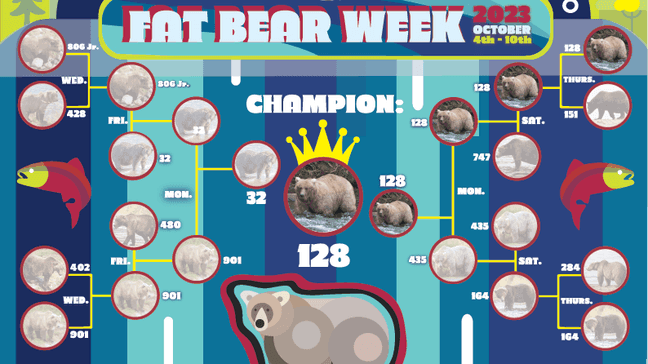 The bears are pitted against each other in this tournament-style bracket for your vote. (National Park Service)