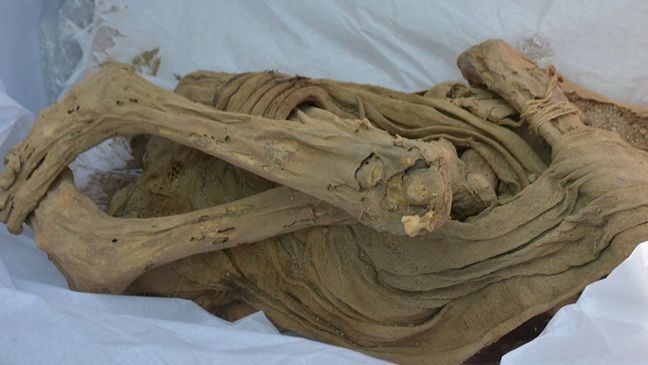 Archeologists unearth a nearly 1,000-year-old 'child' mummy in Peru (Photo: National University of San Marcos)