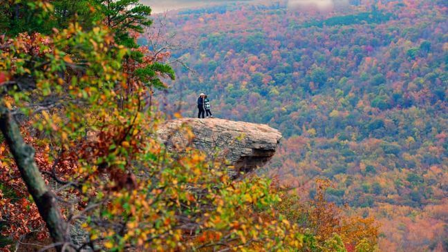 An Arkansas photographer has found a couple who he observed and captured getting engaged at Hawksbill Crag in Newton County. (Photo: Joel Damarillo Sebag)