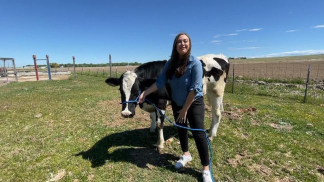 Bruce, the beloved cow, and his owner and social media influencer, Elias Herrera. (KBOI)