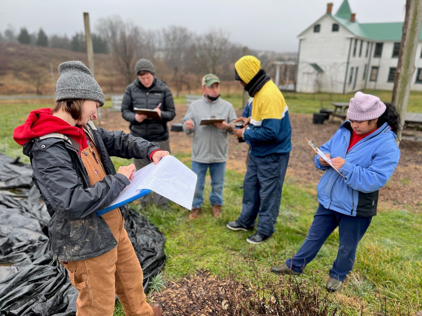 'Treated as equals': farm employing people with disabilities hopes to inspire change photo 2
